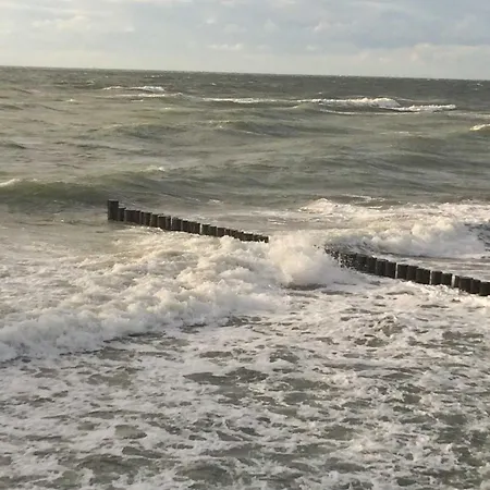 Haus Birkenallee Reckleben Gm 69705 Homestay