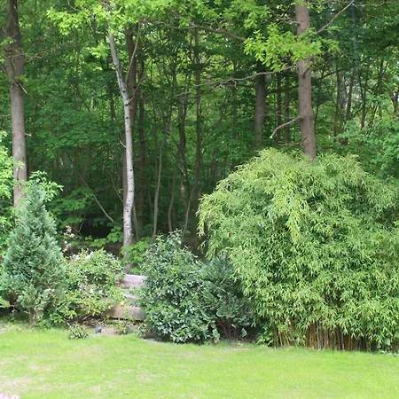 Haus Birkenallee Reckleben Gm 69705 * Graal-Mueritz